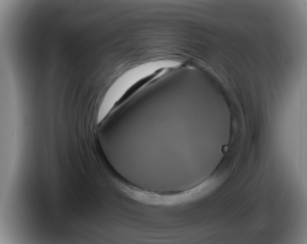 X0000084020048200703091957