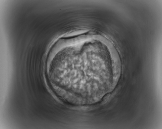 X0000084020049200703091956