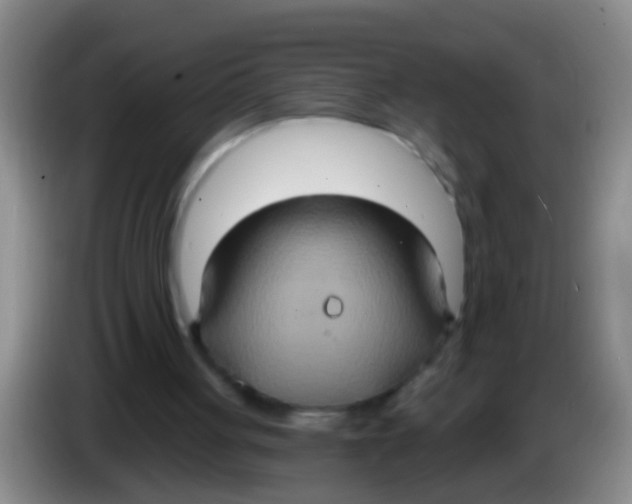 X0000084020051200703091956