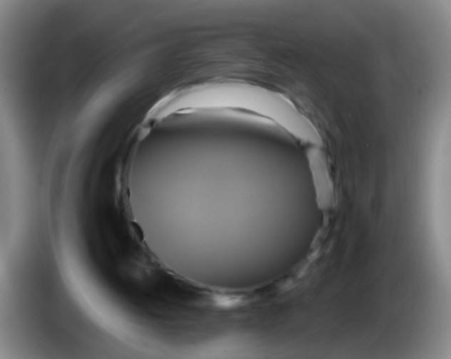 X0000084020052200703091956