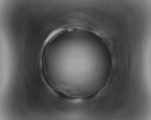 X0000084020054200703091956