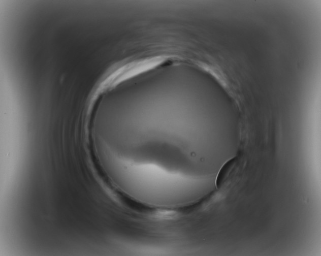 X0000084020055200703091956