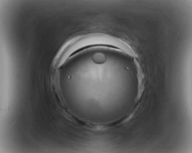 X0000084020056200703091956