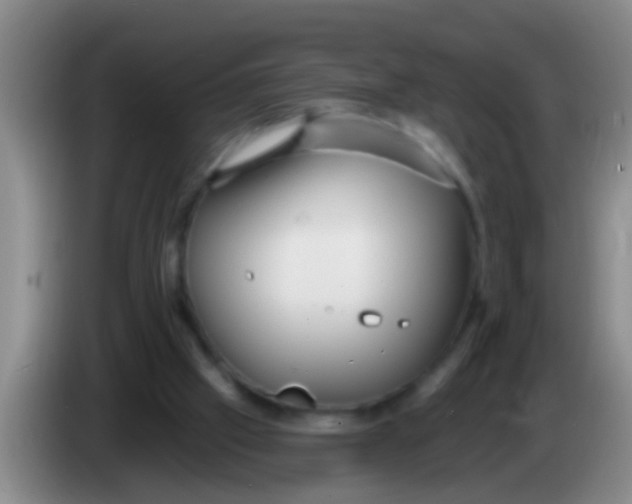 X0000084020057200703091956