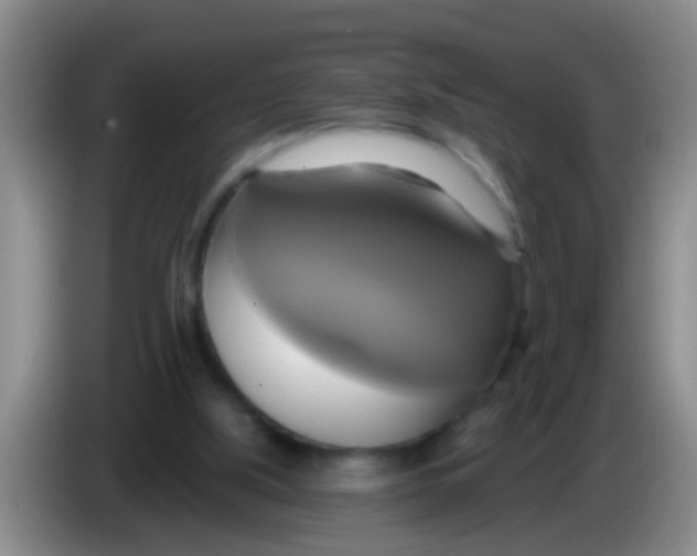 X0000084020059200703091956