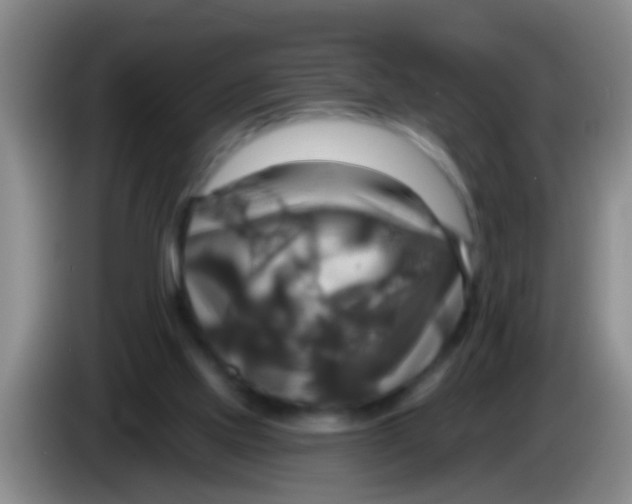 X0000084020061200703091956