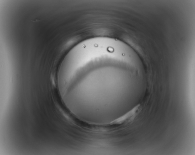 X0000084020062200703091956