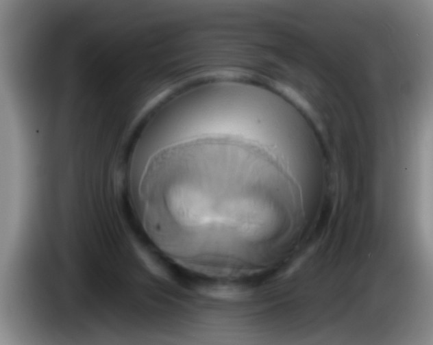 X0000084020063200703091956