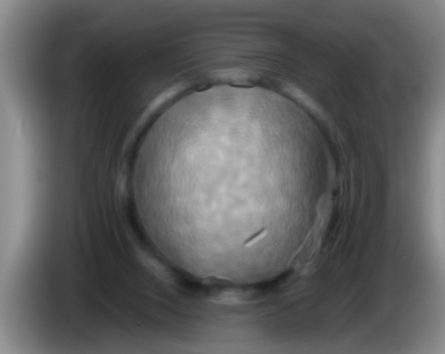 X0000084020064200703091956