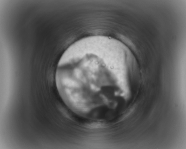 X0000084020065200703091956