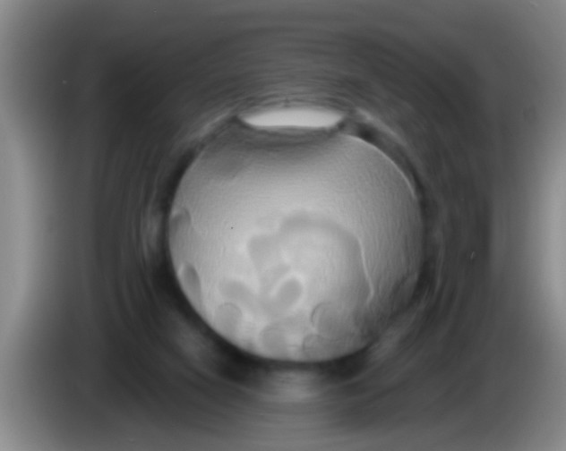 X0000084020066200703091956