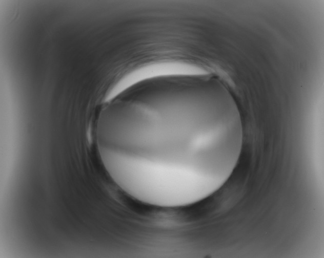 X0000084020069200703091956