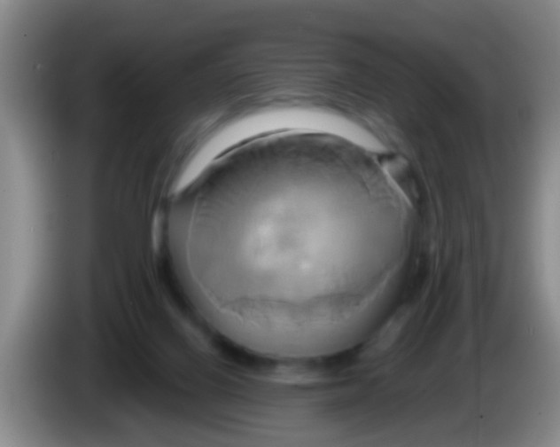 X0000084020070200703091956