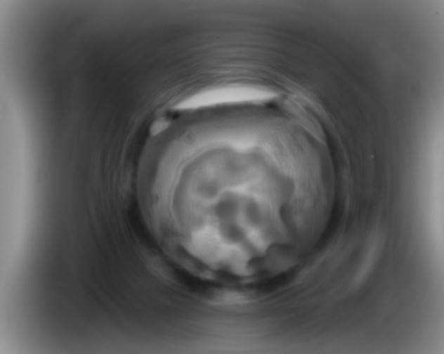 X0000084020073200703091956