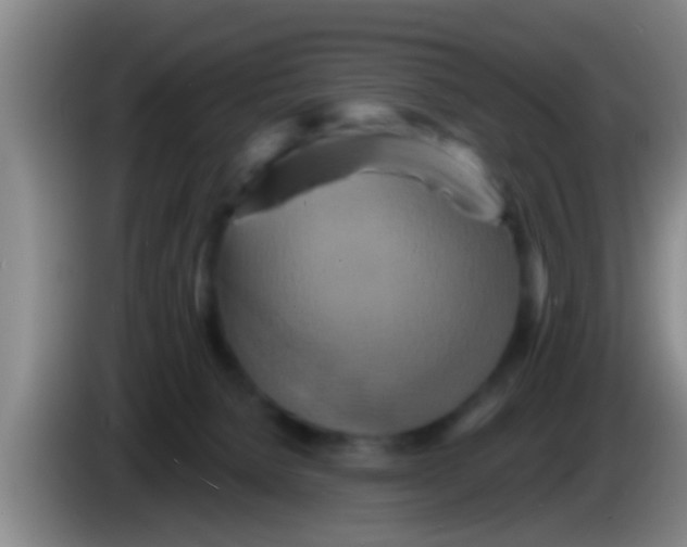 X0000084020080200703091957