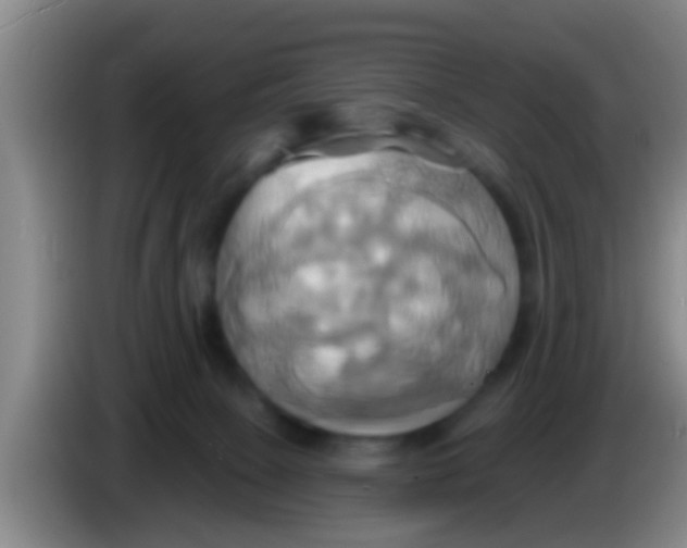 X0000084020081200703091957