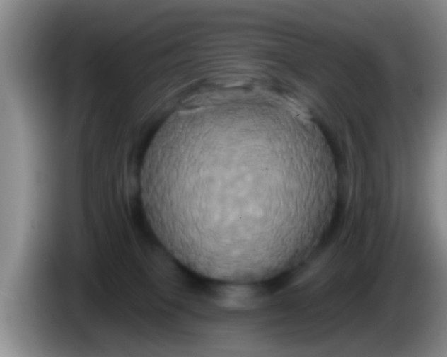 X0000084020085200703091957