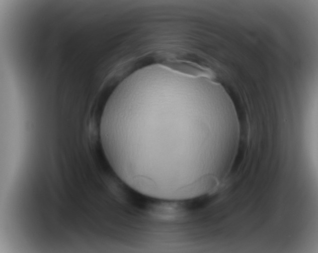 X0000084020086200703091957