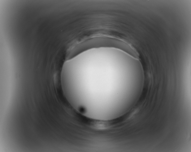 X0000084020088200703091957