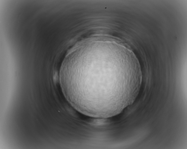 X0000084020089200703091957