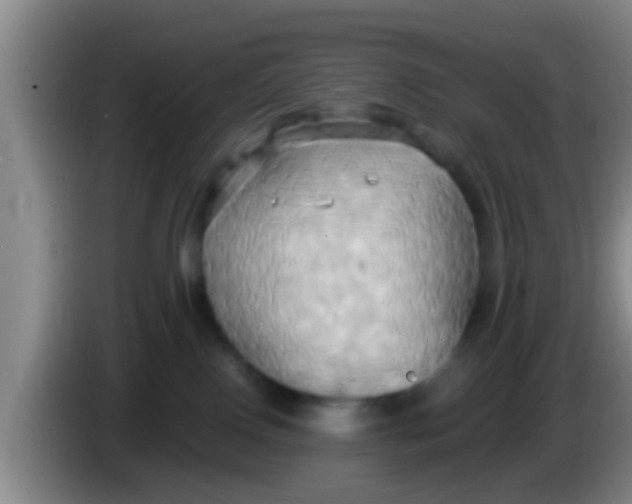 X0000084020090200703091957