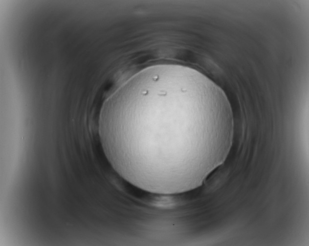 X0000084020091200703091957