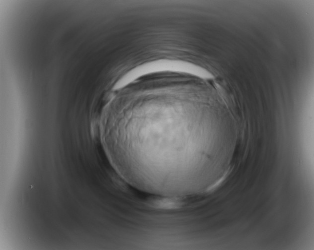 X0000084020094200703091957