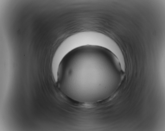 X0000084020095200703091957