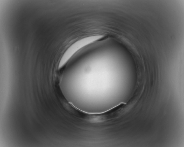 X0000084020096200703091957