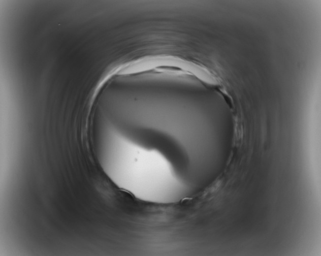 X0000084020099200703091956