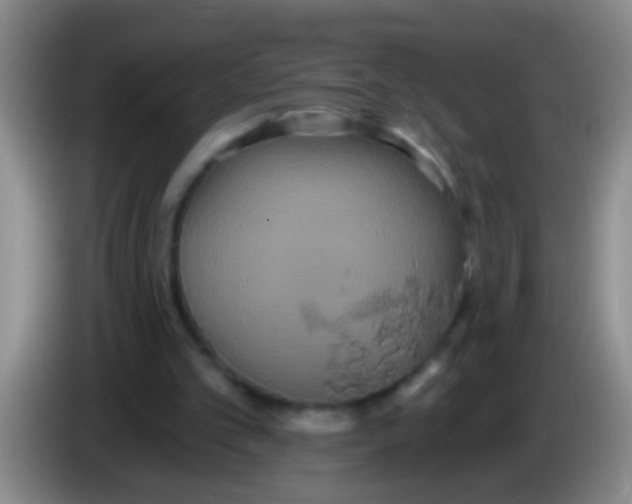 X0000084020101200703091956