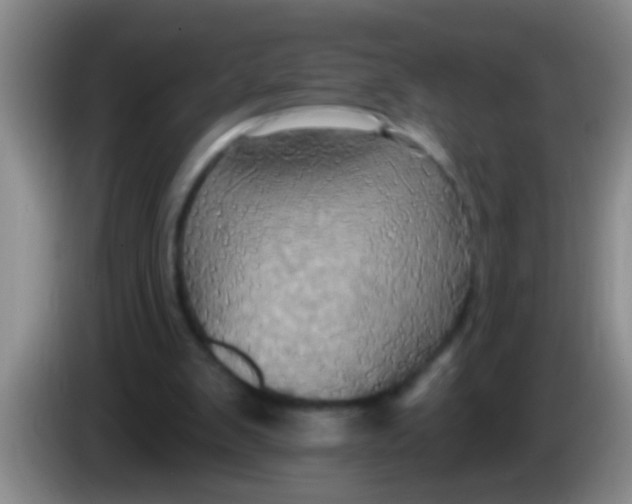 X0000084020103200703091956