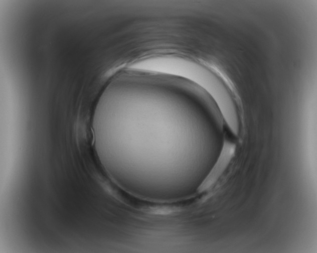 X0000084020105200703091956