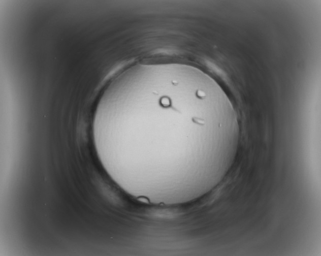 X0000084020106200703091956