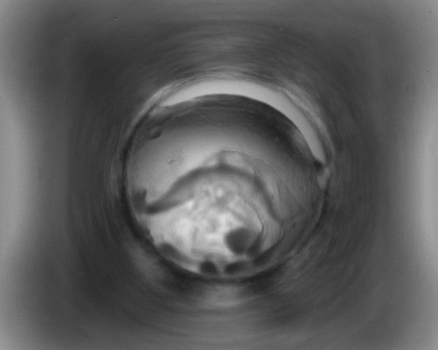 X0000084020107200703091956