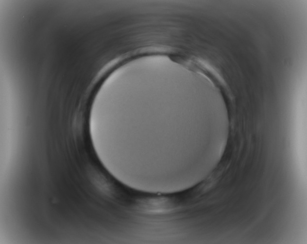 X0000084020108200703091956