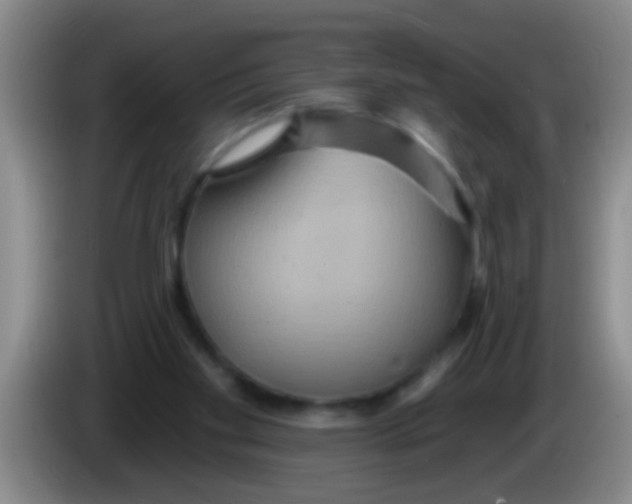 X0000084020109200703091956