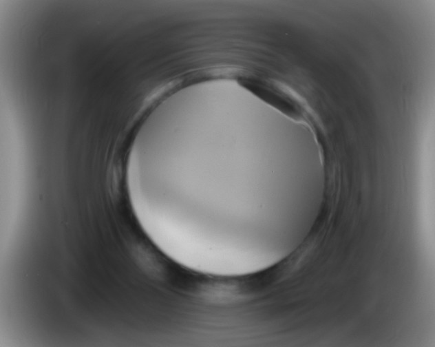 X0000084020110200703091956