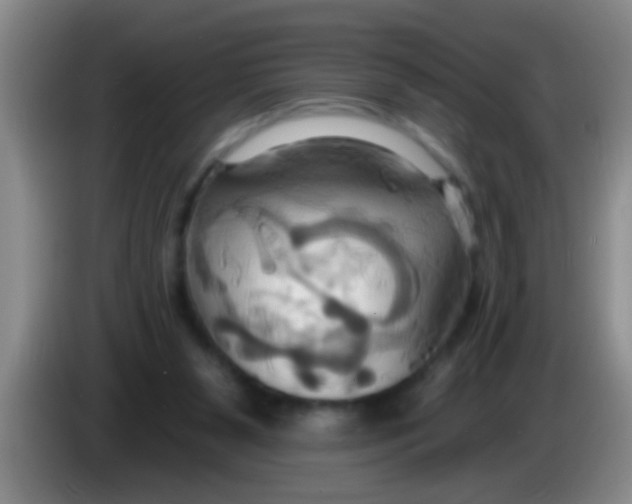 X0000084020111200703091956