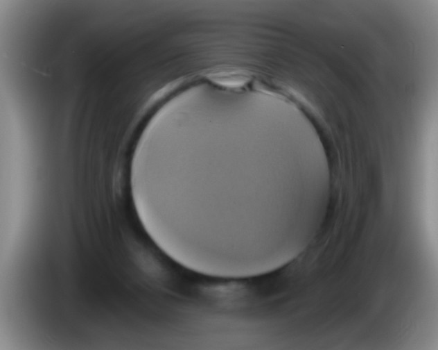 X0000084020112200703091956