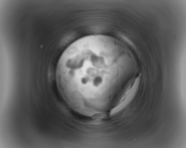 X0000084020119200703091956