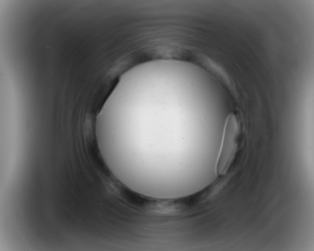 X0000084020121200703091956