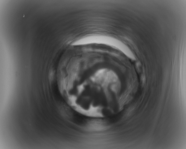 X0000084020123200703091956