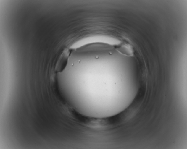 X0000084020125200703091956