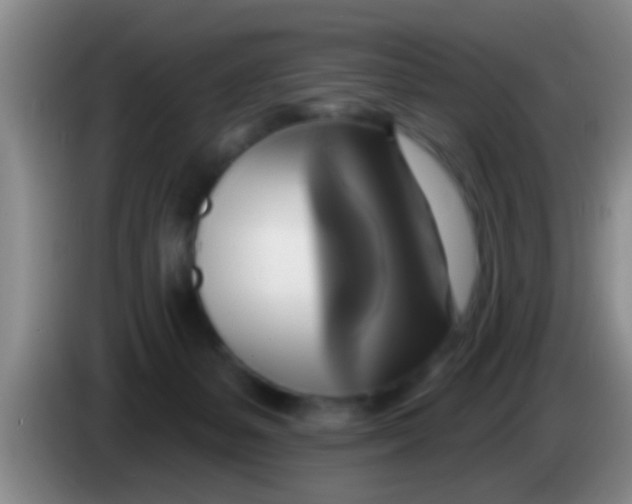 X0000084020127200703091956