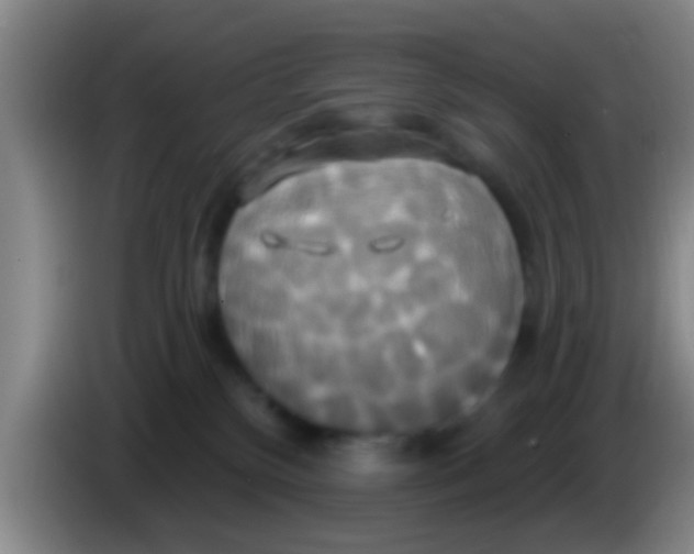 X0000084020136200703091956