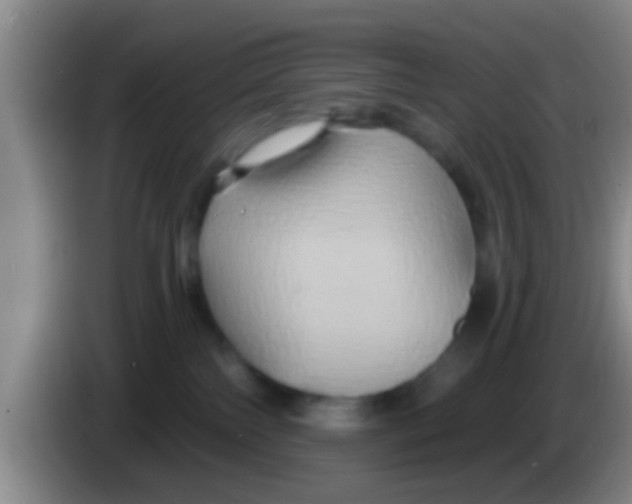 X0000084020138200703091956