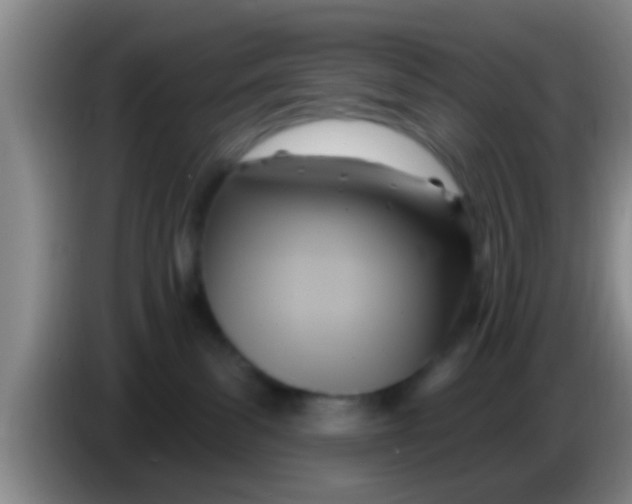 X0000084020139200703091956