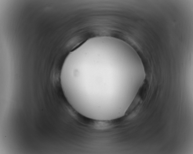 X0000084020141200703091956