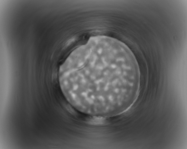 X0000084020144200703091956